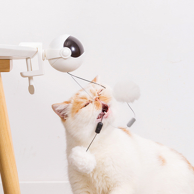 電動自動昇降式おもしろ猫おもちゃ