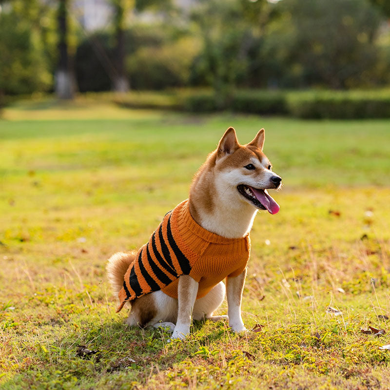ハロウィン 犬用セーター ペットコスチューム テディ ウォームレジャーセーター コスプレ服 犬 猫用