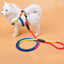 カラフルナイロン丸型手持ち犬用リード ペット用品