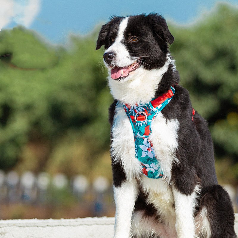 ペット犬用チェストストラップ 迷彩柄手持ちロープ