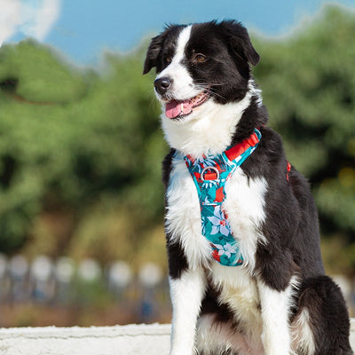 ペット犬用チェストストラップ 迷彩柄手持ちロープ
