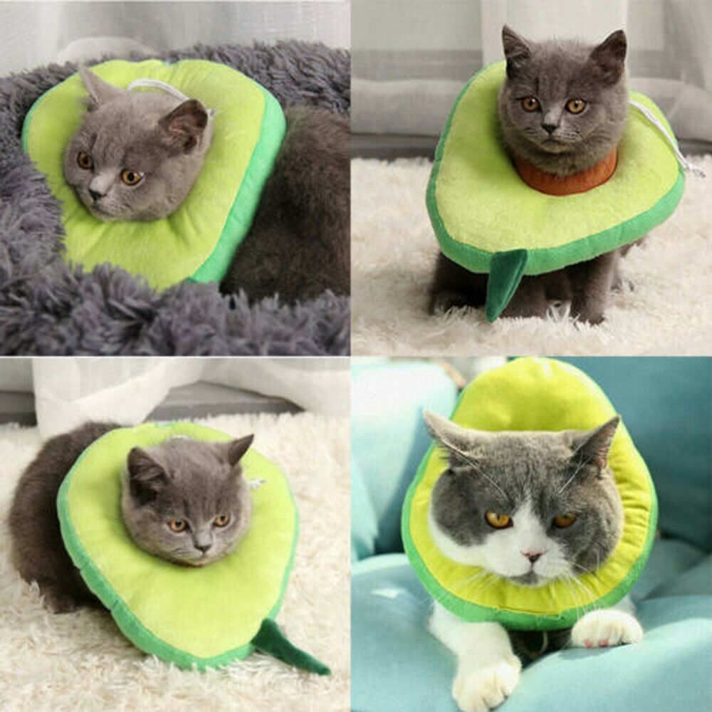 猫用エリザベスカラー、手術後の傷口保護、回復用ソフトレモン型猫用回復首輪、調節可能、子猫と子犬に