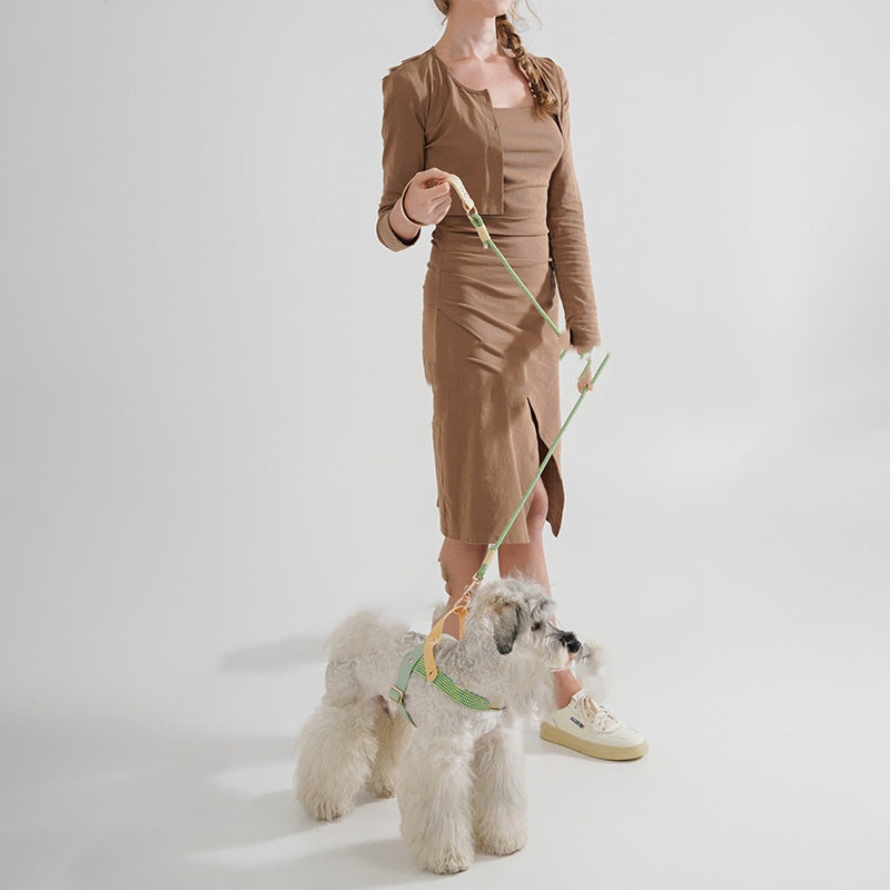 犬用持ち手付きリード PVC 中型犬用安全バックル
