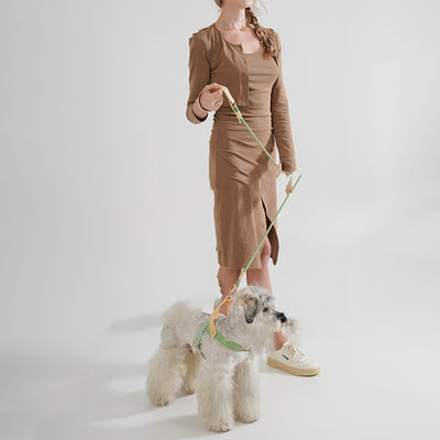 犬用持ち手付きリード PVC 中型犬用安全バックル