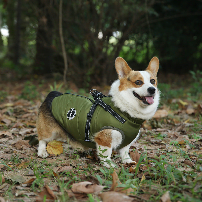 ファッション性の高い保温性多色ペットウェア