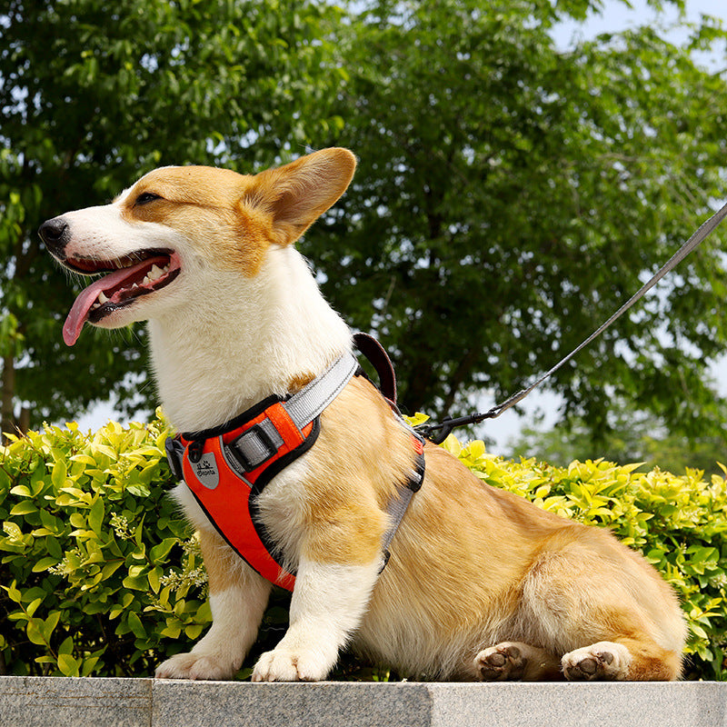 犬用ロープ付きベスト、犬用チェストストラップ
