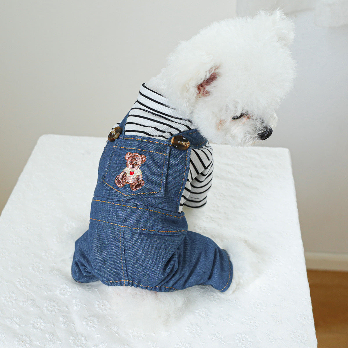 ペット服 犬服 かわいいクマ