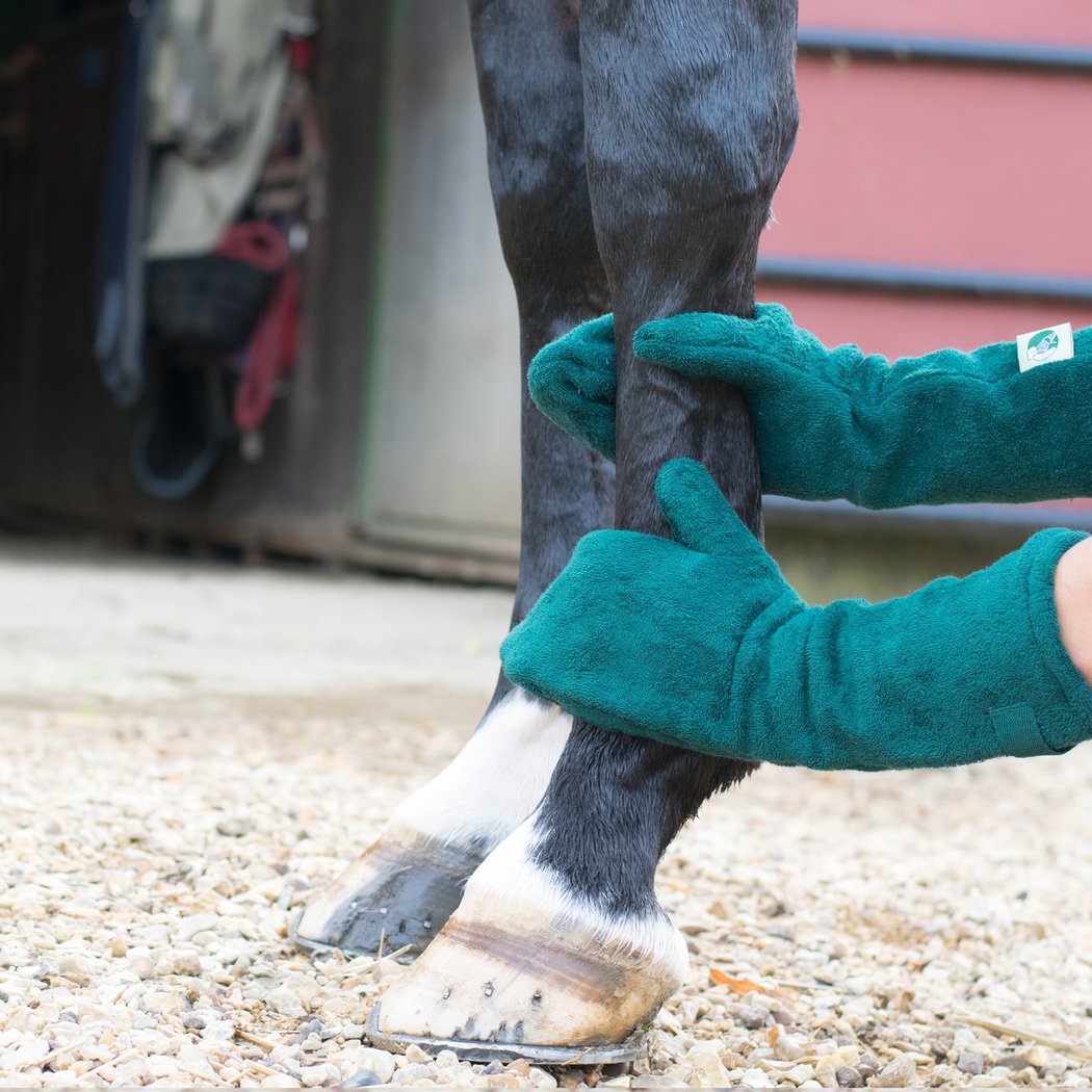 ペット用犬馬足拭き・乾燥手袋