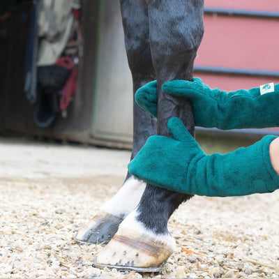 ペット用犬馬足拭き・乾燥手袋