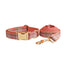 チェック柄ペット用首輪牽引ロープ