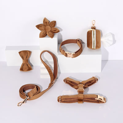 ペット犬レタリング首輪ウォーキングベルベット手持ちロープ