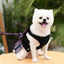 犬 猫 スカート JK格子 チェストストラップ 手持ちロープ