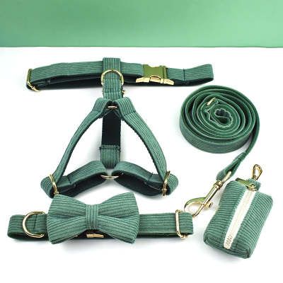 グリーンのベルベット製犬用首輪とリード