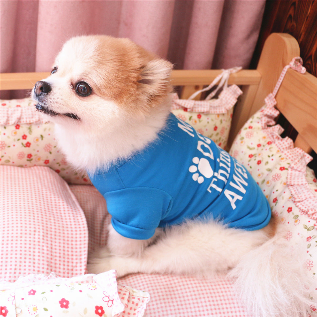 夏用ペットウェア