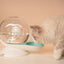 猫用自動給水器フィルター