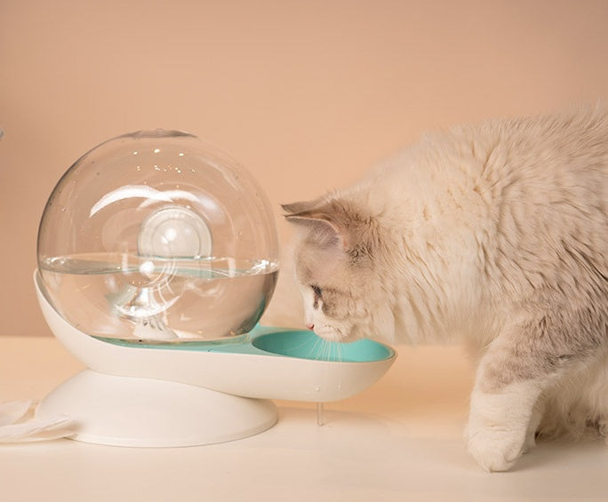 猫用自動給水器フィルター
