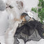 猫 犬 ベスト ハーネス リード ワンピース