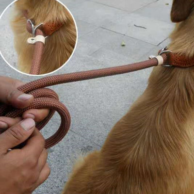 ナイロンPチェーン 犬用リード ハンドロープ