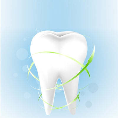 ペット用デンタルケア犬猫歯ブラシ