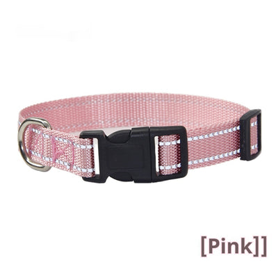 反射式犬用首輪 屋外手持ちリード