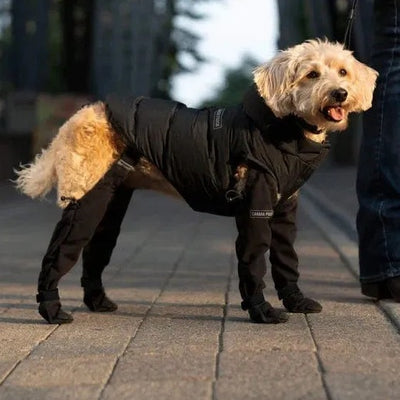 DOGGIE STRAP PAW PROTECTORS 犬用シューズ ペットシューズ 防水 滑り止め