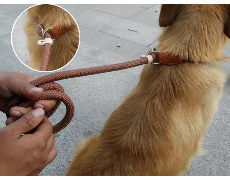 ナイロンPチェーン 犬用リード ハンドロープ