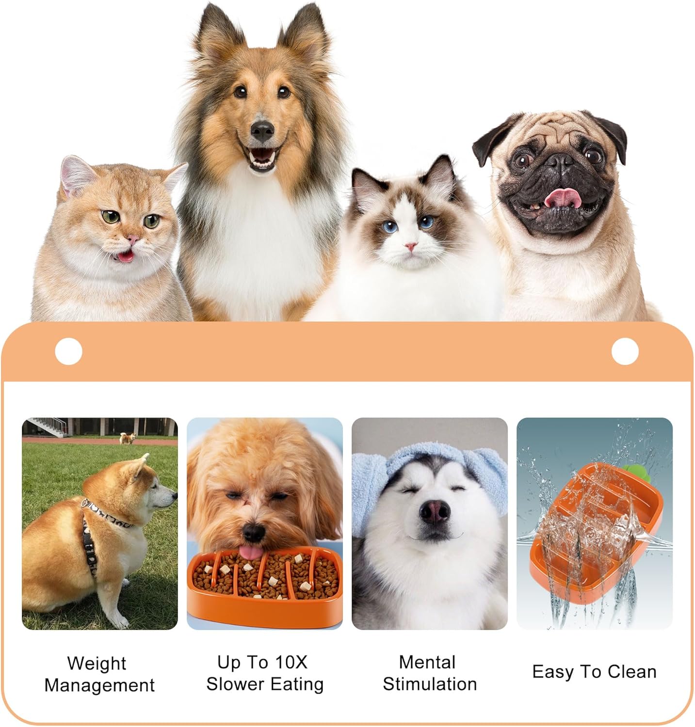 スローフィーダー犬用ボウル、小型犬・中型犬用、にんじんデザイン、滑り止め付き、ドライ・ウェットフード対応