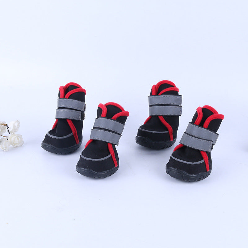 かわいいペット用犬の靴をオールシーズン履かせましょう