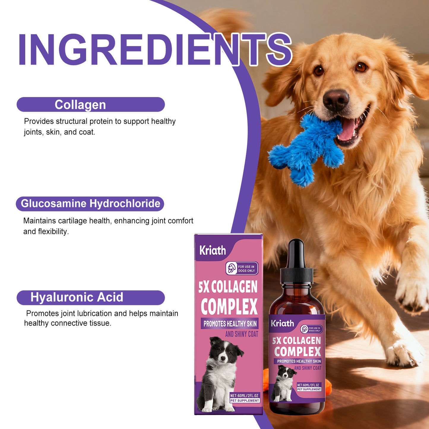 関節ケア、スキン＆ヘアケア、やさしい処方、栄養価の高い犬用コラーゲンドロップ