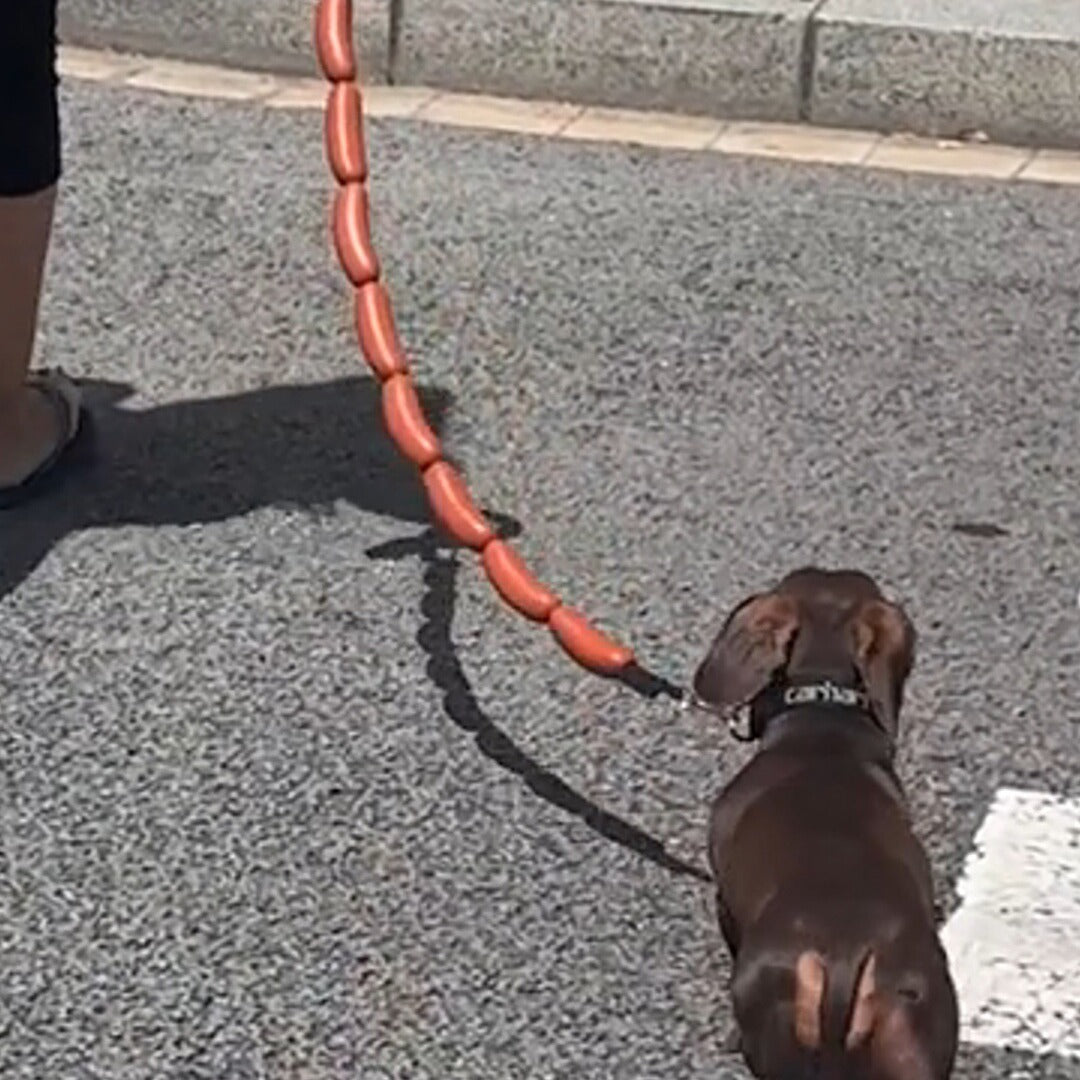 犬がロープと大量のソーセージを手に持っている