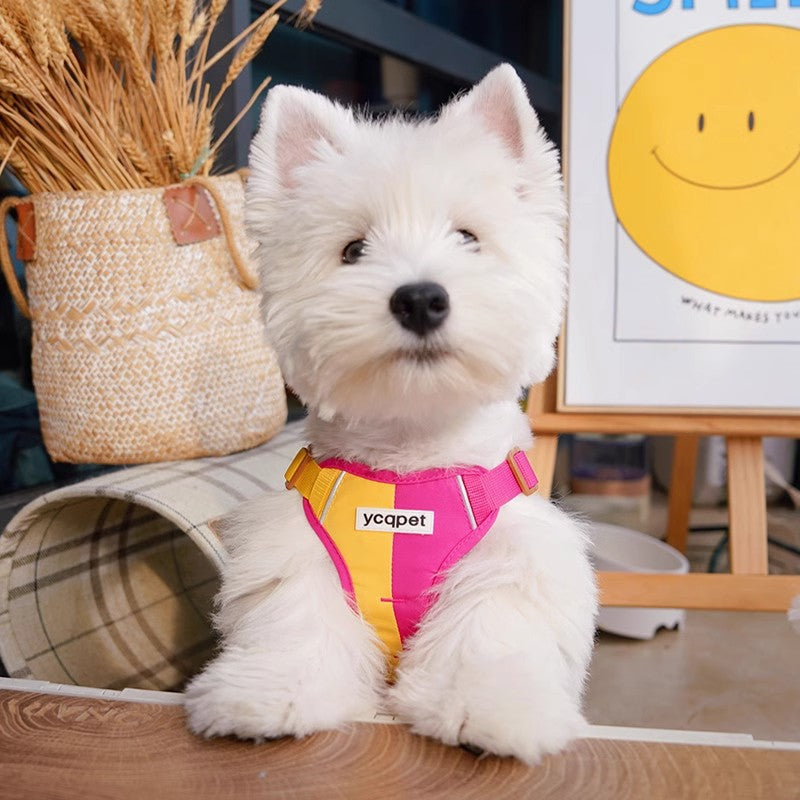 可愛いカラーマッチング 犬用手持ちロープ 反射ベストハーネス