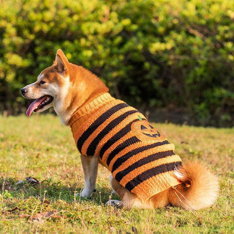 ハロウィン 犬用セーター ペットコスチューム テディ ウォームレジャーセーター コスプレ服 犬 猫用
