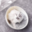 猫ネスト 四季通用 猫卵殻ネスト 四季猫ネスト 多機能おもちゃ 猫ターンテーブル 猫盆