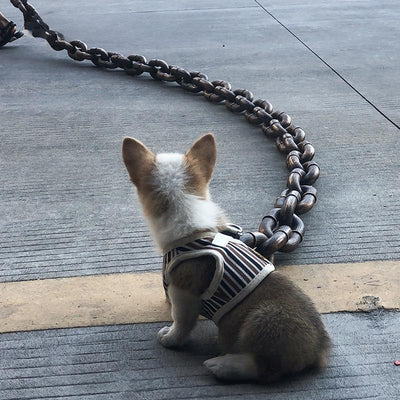 厚手プラスチック製犬用リード 大型鉄製チェーン 手持ちロープ