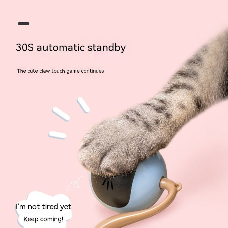 猫用電動おもちゃボール