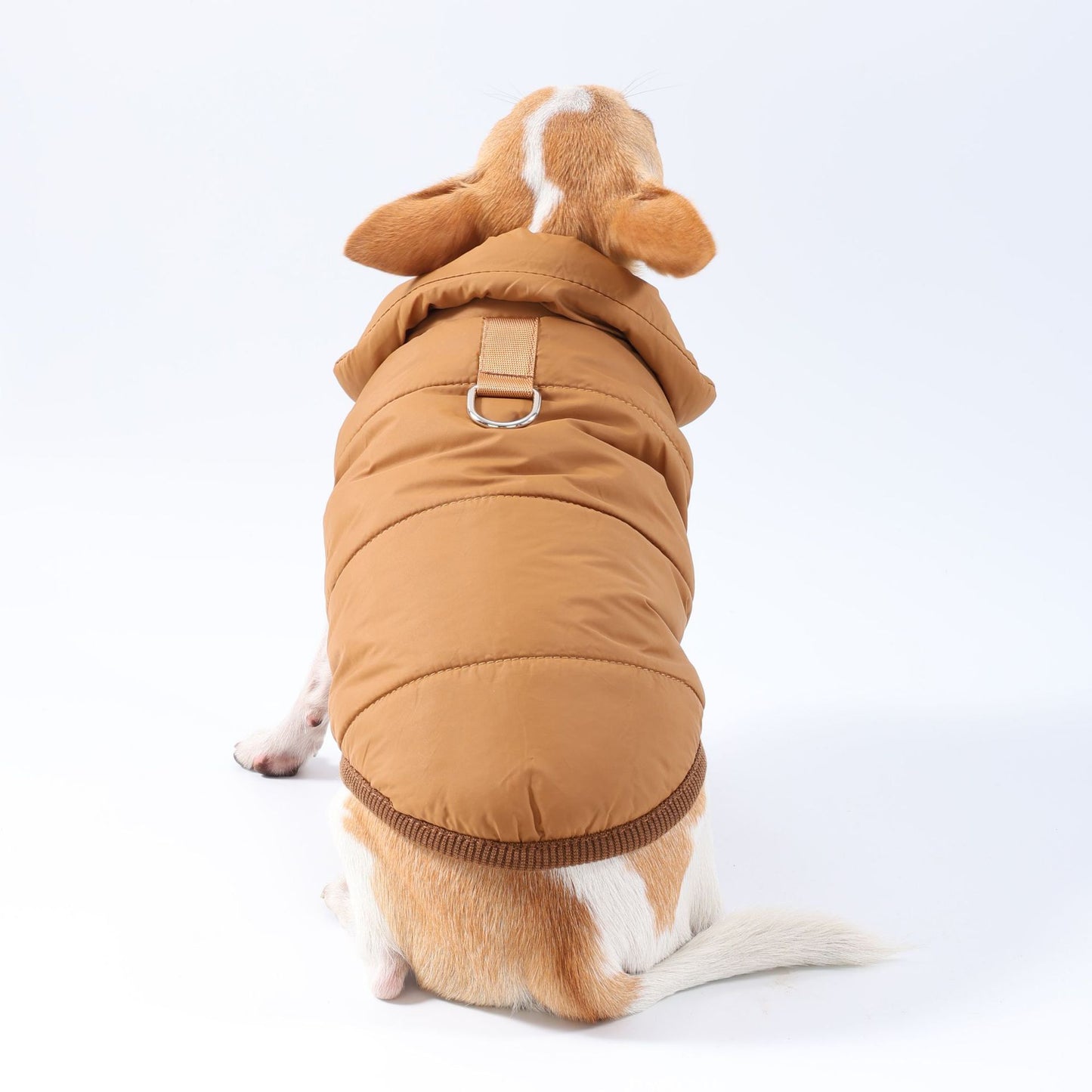新ペットコート牽引犬服
