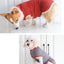 犬服 ビンテージツイストペットセーター