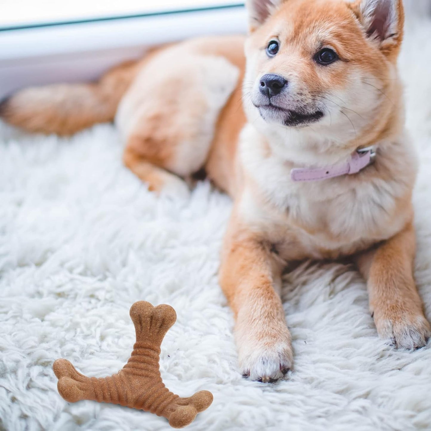 ペット用歯固めスティック、子犬用歯固めおもちゃ、犬用知育玩具、犬用噛むおもちゃ、猫じゃらし、犬用歯固め噛むおもちゃ、子犬用デンタルケア、子犬用おもちゃ、犬用デンタル玩具、ナイロン製食べ物探しスナック
