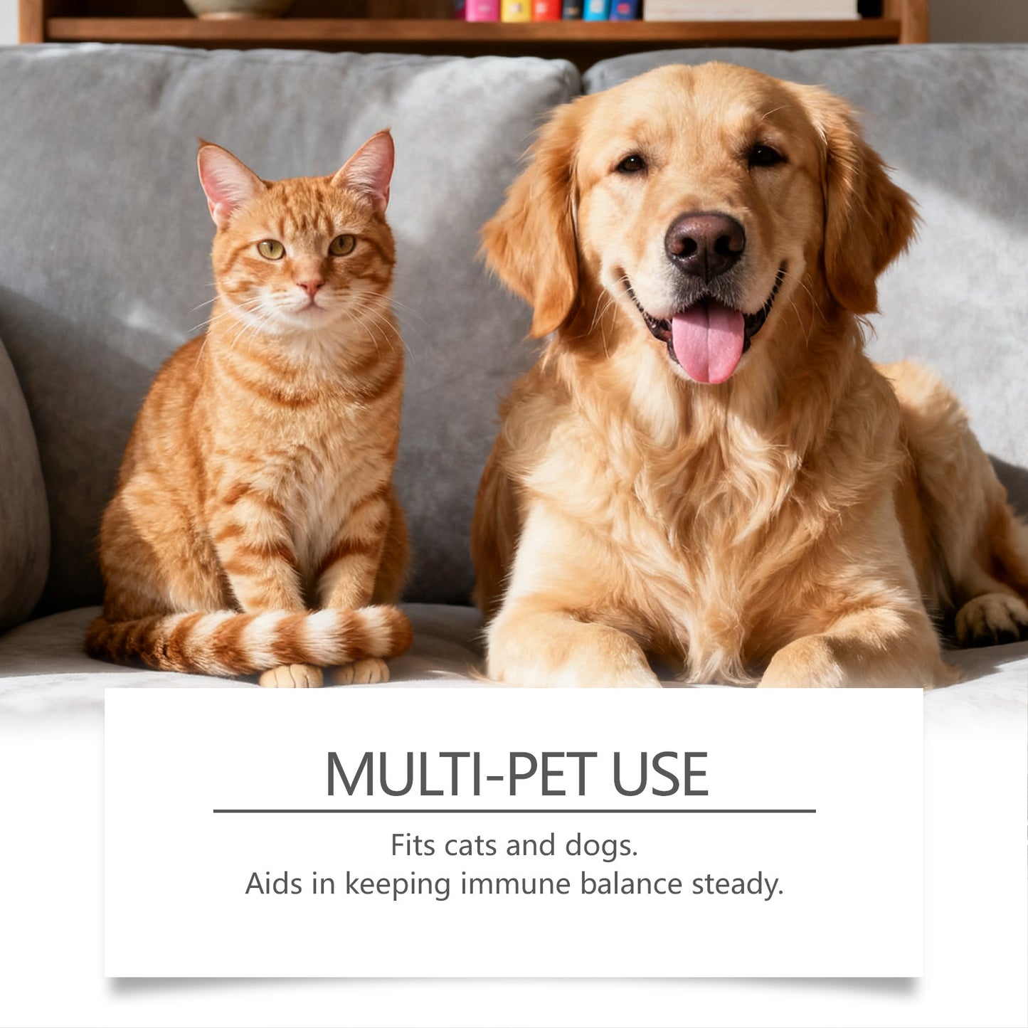 猫と犬の泌尿器ケア沈静化ドロップ