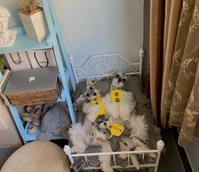 犬小屋 猫小屋 ペットハンガー スイングクレードル フルドッグベッド