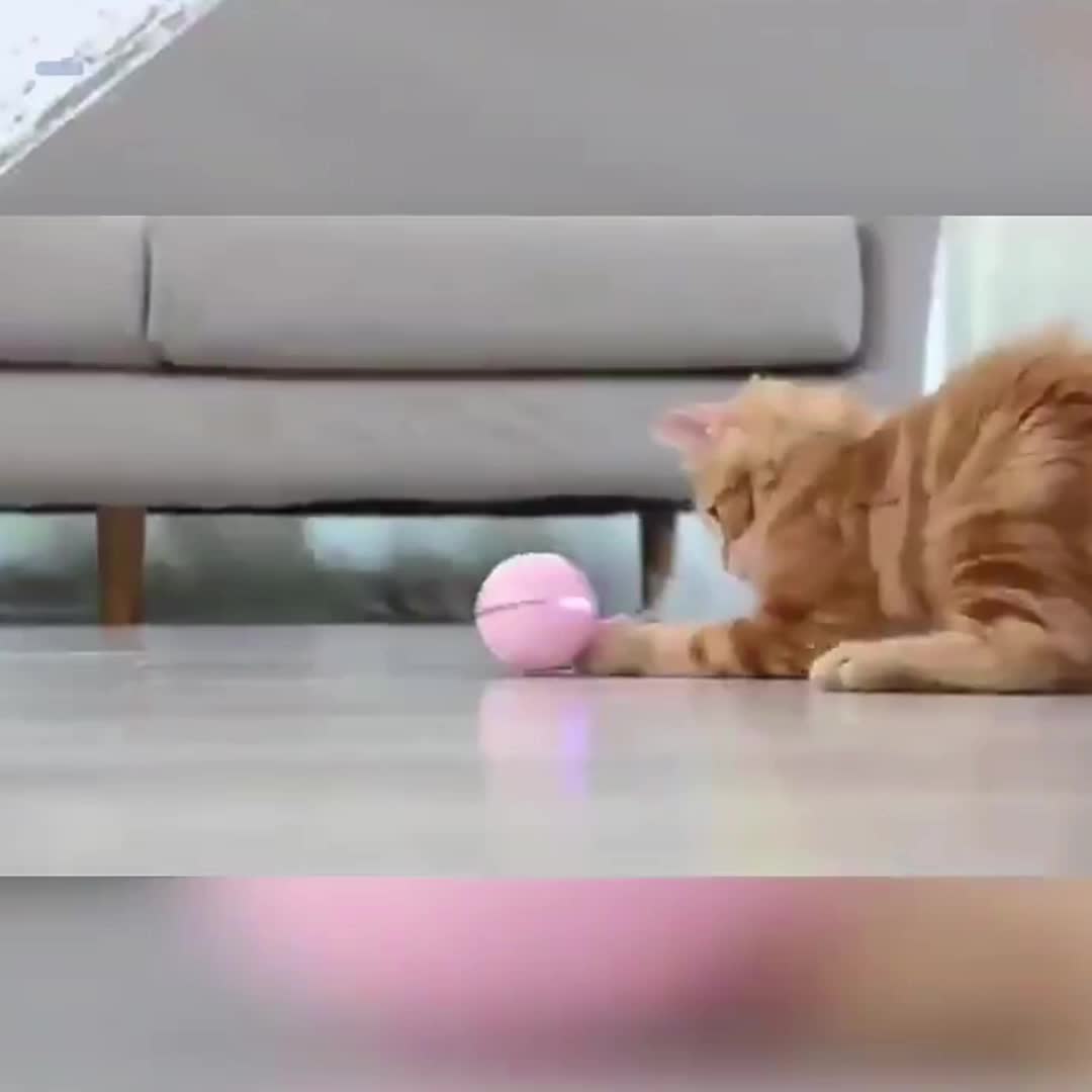 電動猫おもちゃ ボール LED羽根 猫をからかうボール 猫遊びおもちゃ USB充電式 猫用おもちゃ