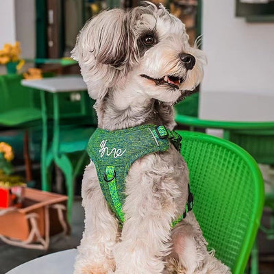 屋外犬用ベスト型手持ち引きひも