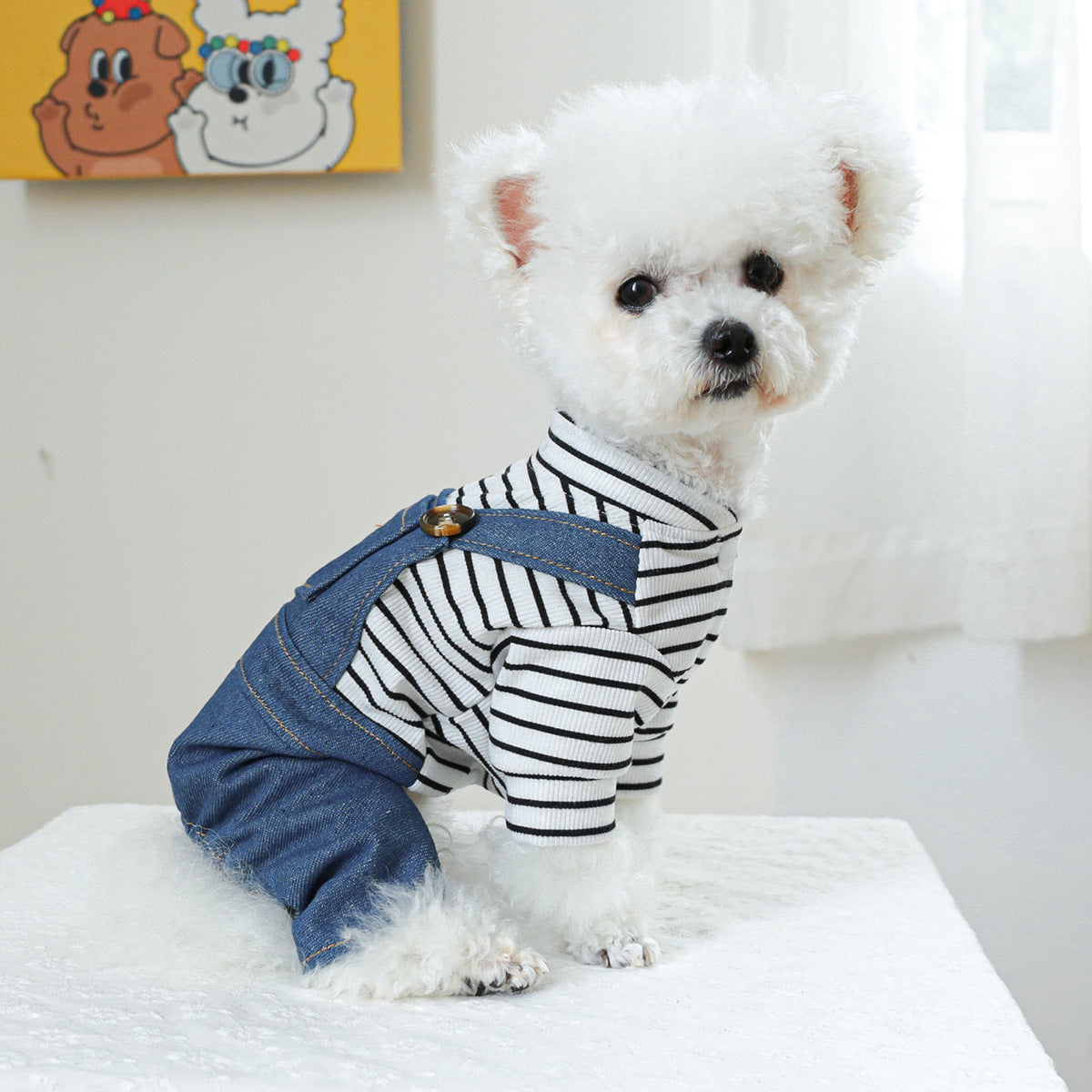 ペット服 犬服 かわいいクマ
