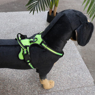 犬用ベスト 胸と背中通気性 反射 ガリウス 手持ちロープ