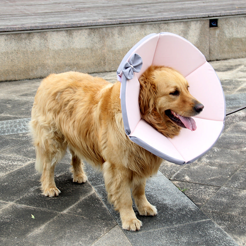 ペット用品 犬 介護用品 エリザベスカラー