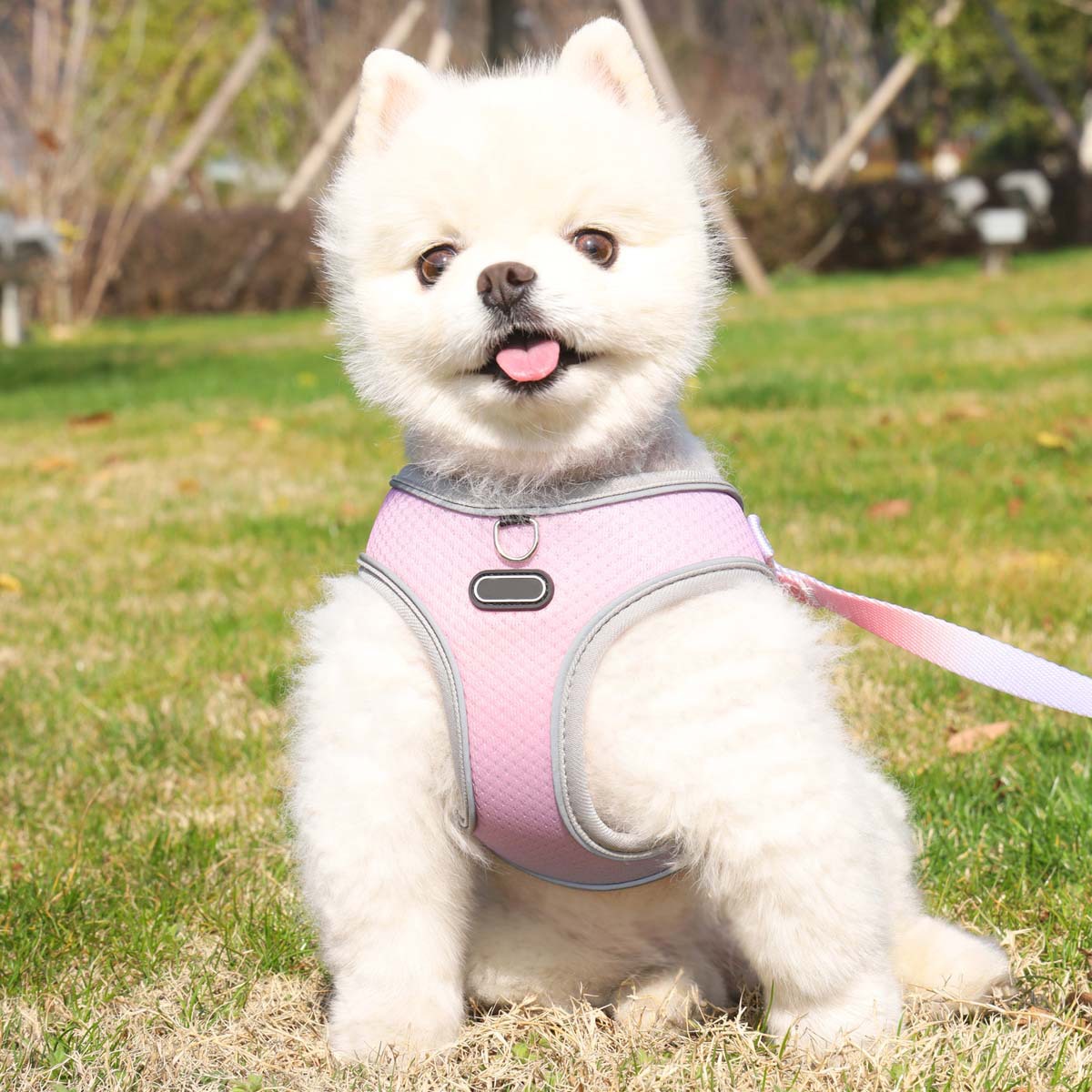ペット服手持ちロープ犬用胴輪