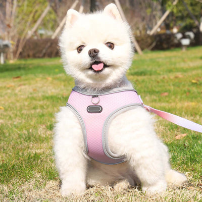 ペット服手持ちロープ犬用胴輪