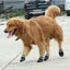 ペットシューズ 耐摩耗性・通気性 大型犬用