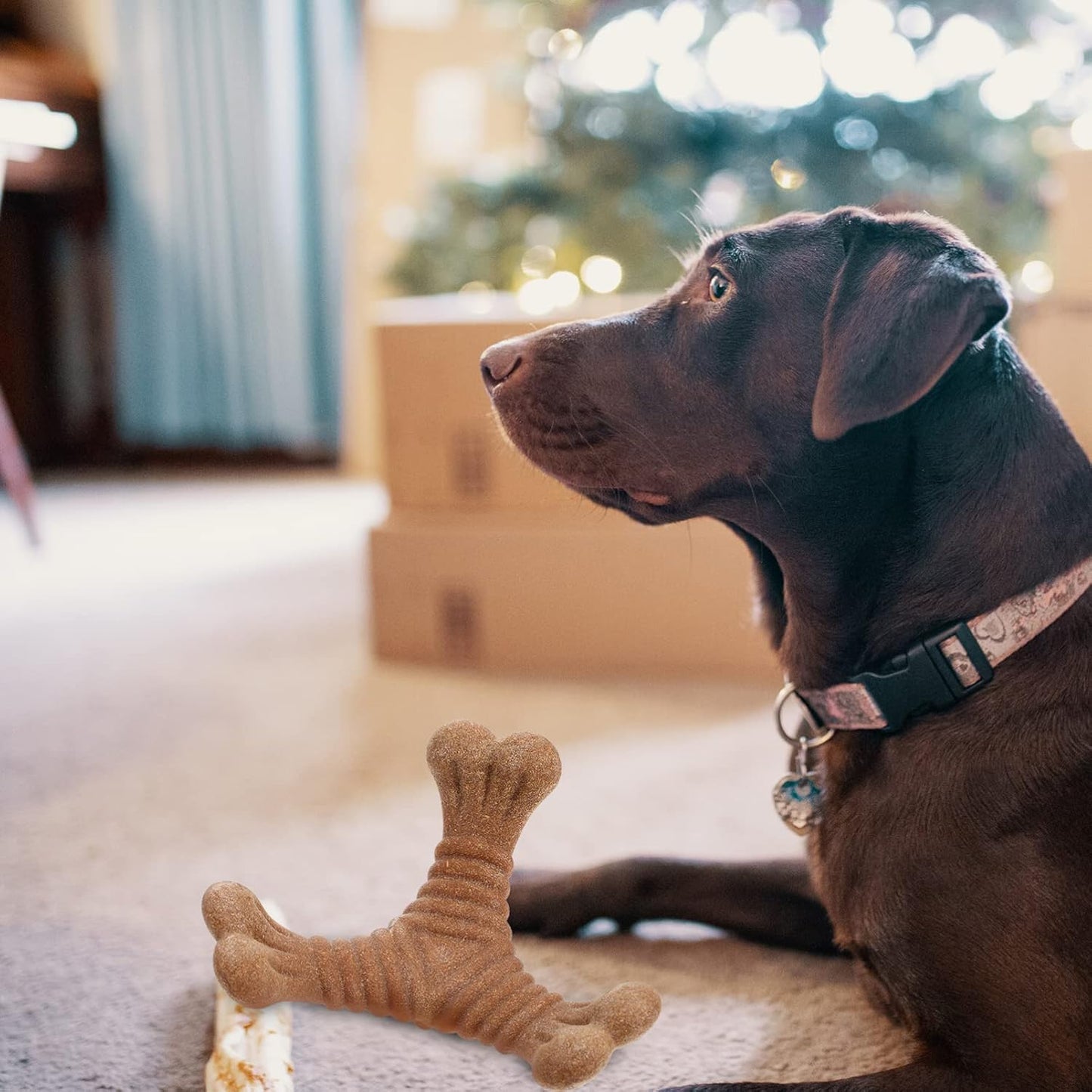 ペット用歯固めスティック、子犬用歯固めおもちゃ、犬用知育玩具、犬用噛むおもちゃ、猫じゃらし、犬用歯固め噛むおもちゃ、子犬用デンタルケア、子犬用おもちゃ、犬用デンタル玩具、ナイロン製食べ物探しスナック