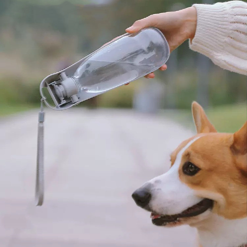 携帯用犬用水筒 小型犬・大型犬兼用 折りたたみ式 軽量 ウォーターボウル アウトドア 旅行 散歩 子犬用品